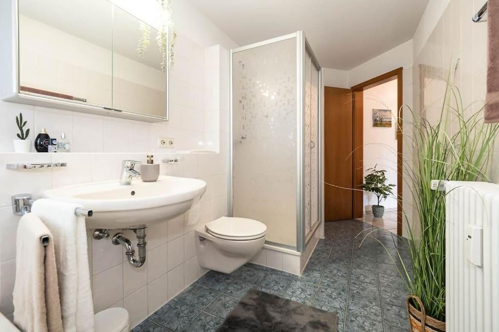 Ferienwohnung Julija Riedheim Хильцинген Экстерьер фото