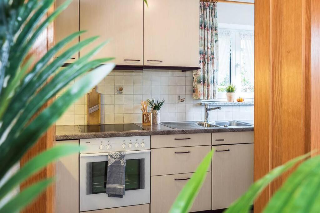 Ferienwohnung Julija Riedheim Хильцинген Экстерьер фото